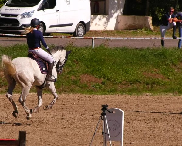 Reitturnier Lgl.-Oberhain, B95 2022