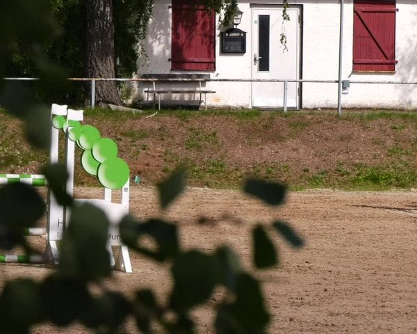 Reitturnier Lgl.-Oberhain, B95 2022