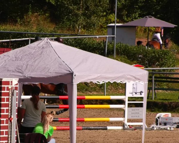 Reitturnier Lgl.-Oberhain, B95 2022
