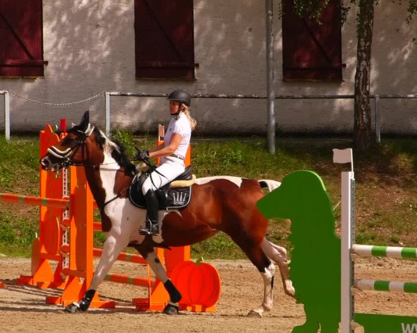 Reitturnier Lgl.-Oberhain, B95 2022