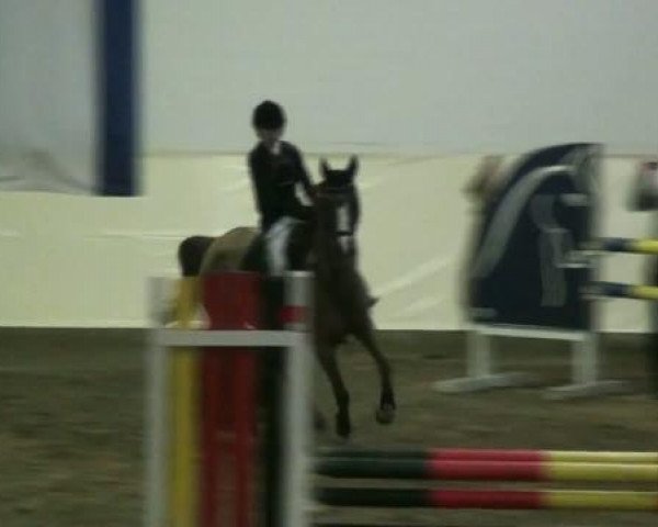broodmare Maja Fleur (German Riding Pony, 2001, from Mentos)