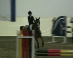 broodmare Maja Fleur (German Riding Pony, 2001, from Mentos)