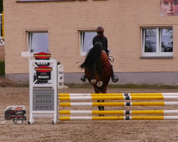 Reitturnier Lgl.-Oberhain, B95 2022