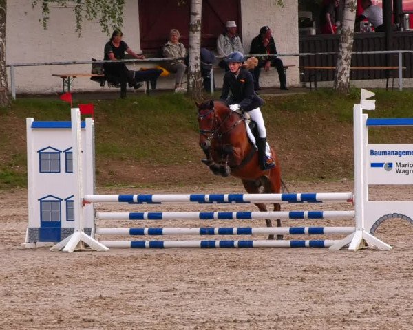 Reitturnier Lgl.-Oberhain, B95 2022