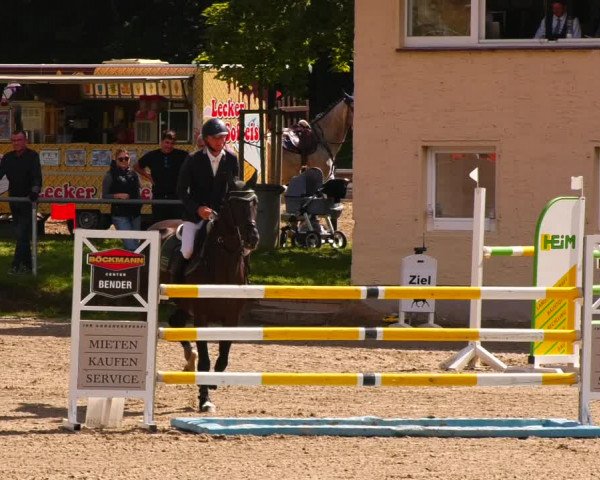 Reitturnier Lgl.-Oberhain, B95 2022