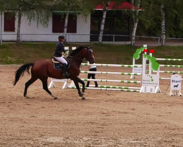Reitturnier Lgl.-Oberhain, B95 2022