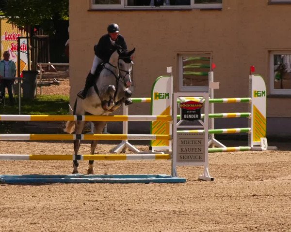 Reitturnier Lgl.-Oberhain, B95 2022