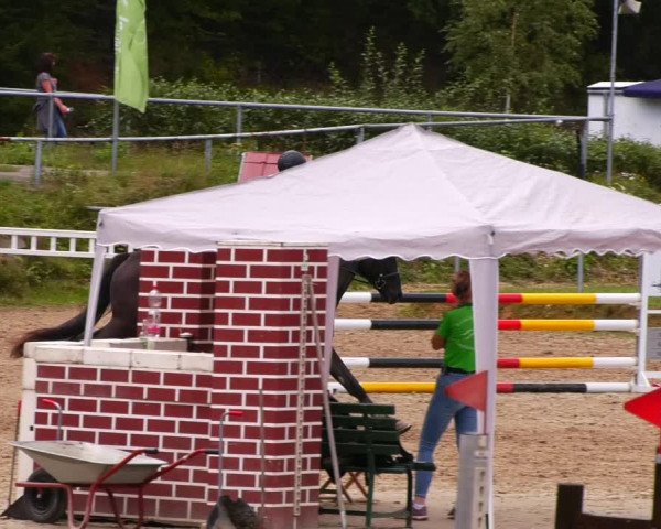 Reitturnier Lgl.-Oberhain, B95 2022
