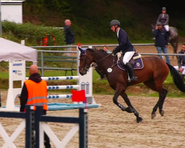 Reitturnier Lgl.-Oberhain, B95 2022