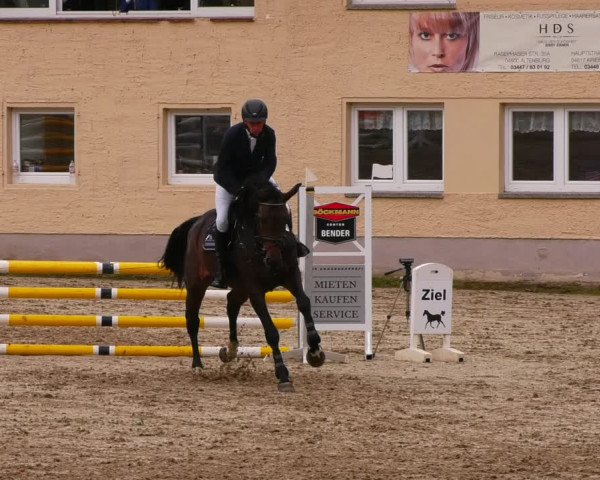 Reitturnier Lgl.-Oberhain, B95 2022