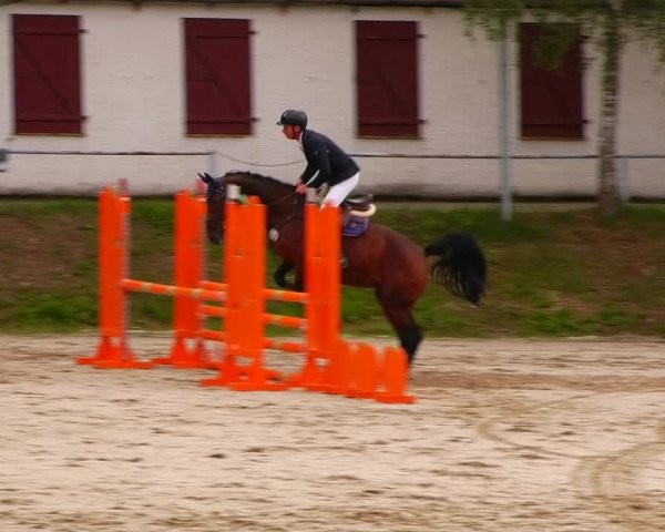 Reitturnier Lgl.-Oberhain, B95 2022
