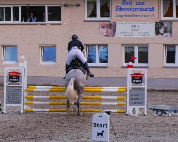 Reitturnier Lgl.-Oberhain, B95 2022