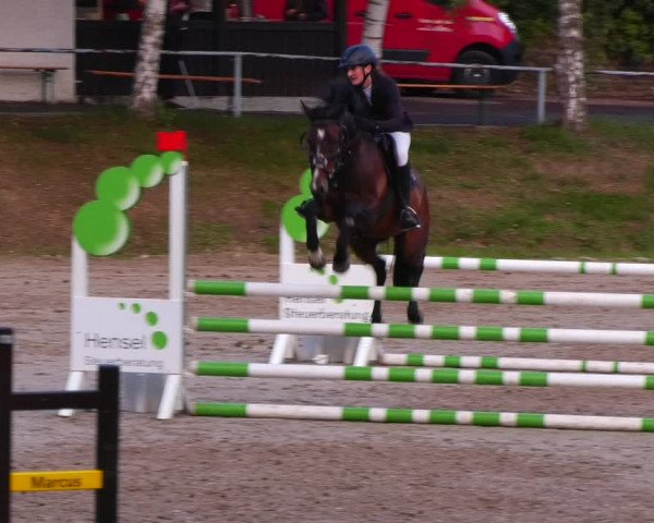 Reitturnier Lgl.-Oberhain, B95 2022