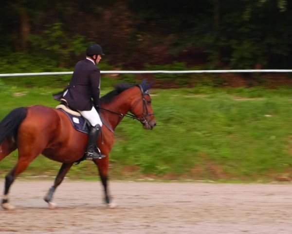 Reitturnier Lgl.-Oberhain, B95 2022