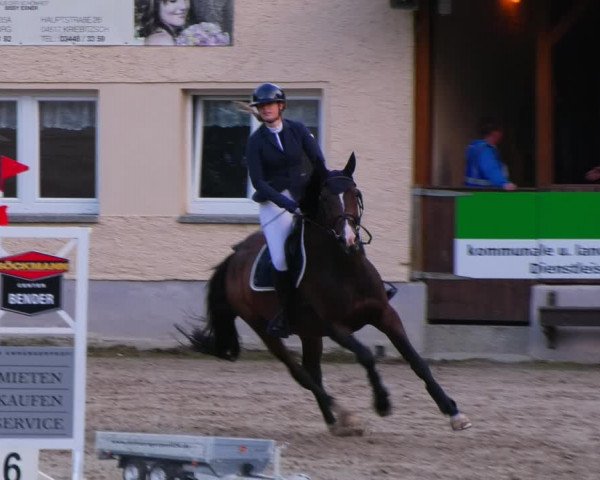 Reitturnier Lgl.-Oberhain, B95 2022