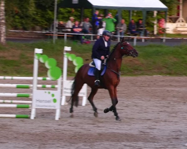 Reitturnier Lgl.-Oberhain, B95 2022