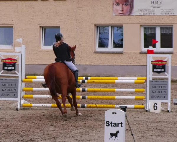 Reitturnier Lgl.-Oberhain, B95 2022