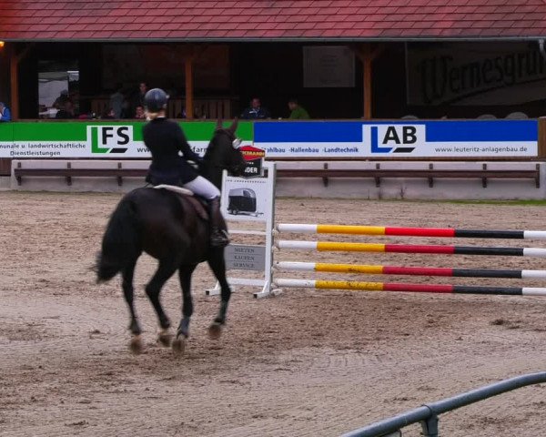 Reitturnier Lgl.-Oberhain, B95 2022