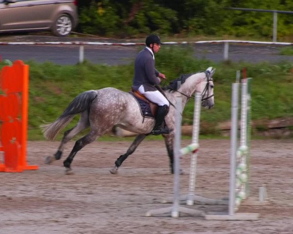 Reitturnier Lgl.-Oberhain, B95 2022