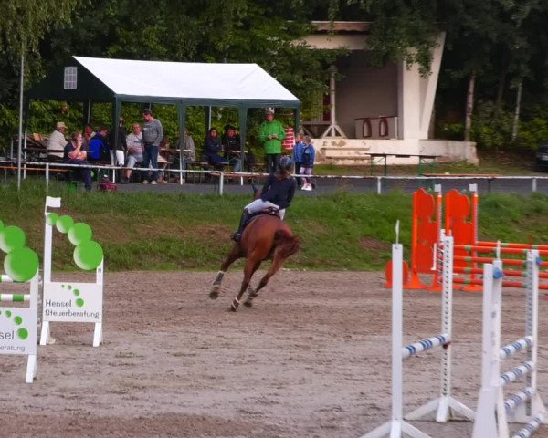 Reitturnier Lgl.-Oberhain, B95 2022