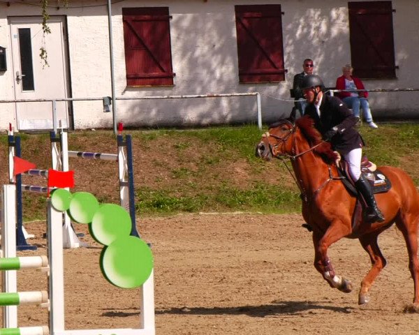 Reitturnier Lgl.-Oberhain, B95 2022
