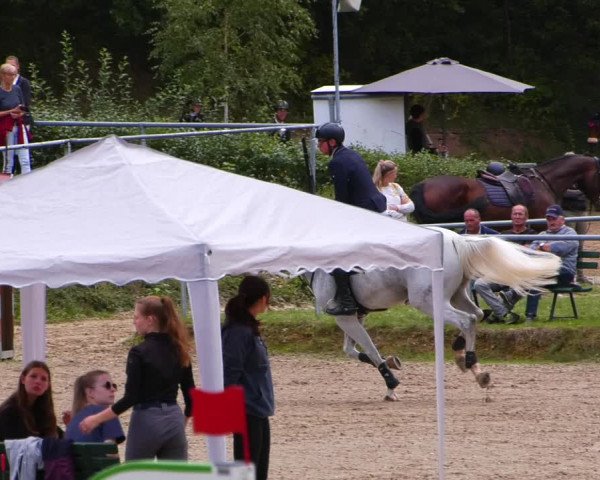 Reitturnier Lgl.-Oberhain, B95 2022