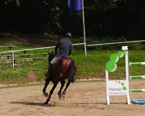 Reitturnier Lgl.-Oberhain, B95 2022