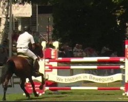 jumper Toscana 119 (Holsteiner, 2003, from Clearway)