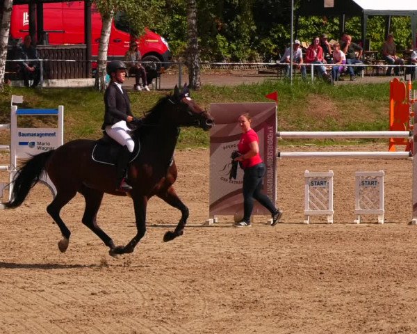 Reitturnier Lgl.-Oberhain, B95 2022