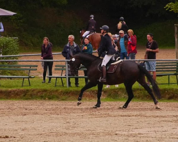 Reitturnier Lgl.-Oberhain, B95 2022