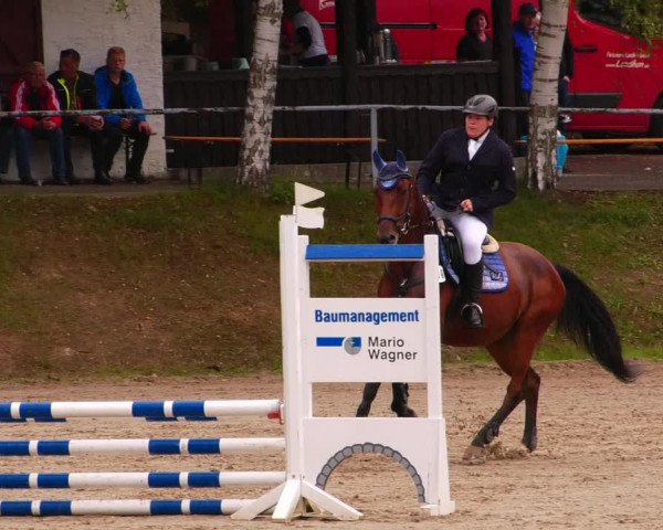Reitturnier Lgl.-Oberhain, B95 2022