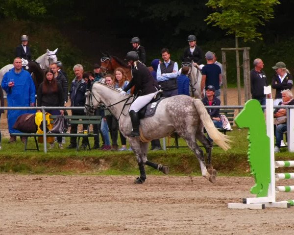 Reitturnier Lgl.-Oberhain, B95 2022