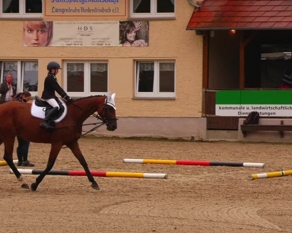 Reitturnier Lgl.-Oberhain, B95 2022