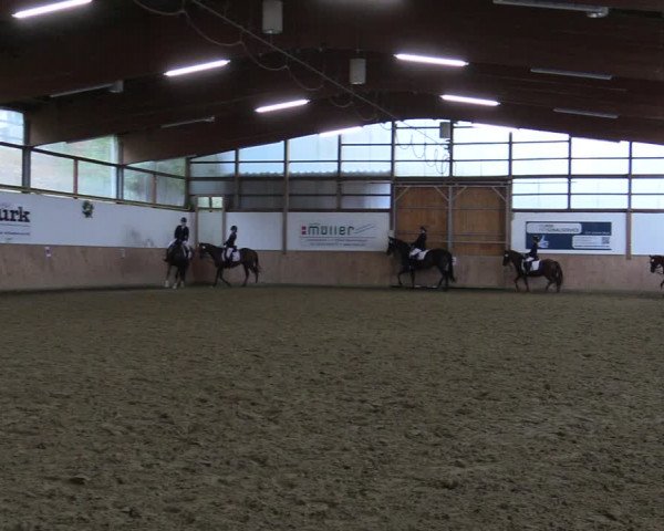 Reitturnier Meinerzhagen 2022