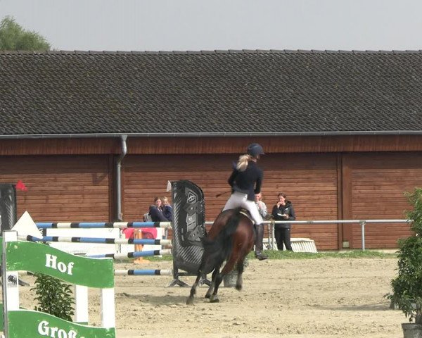 Reitturnier Dortmund-Barop 2022