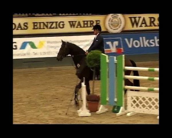 jumper Avis 7 (Hanoverian, 2000, from Acorado I)