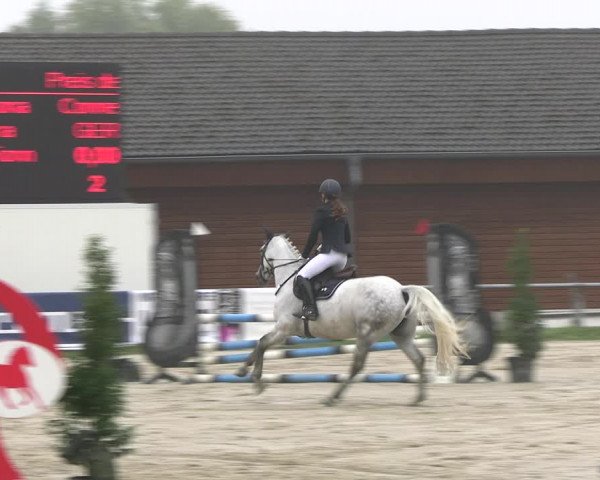 Reitturnier Dortmund-Barop 2022