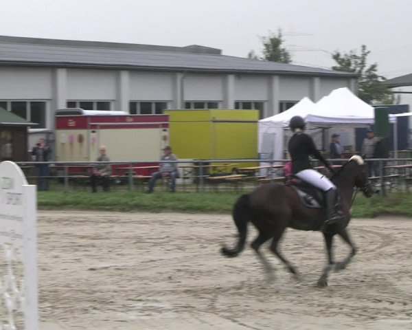 Reitturnier Dortmund-Barop 2022