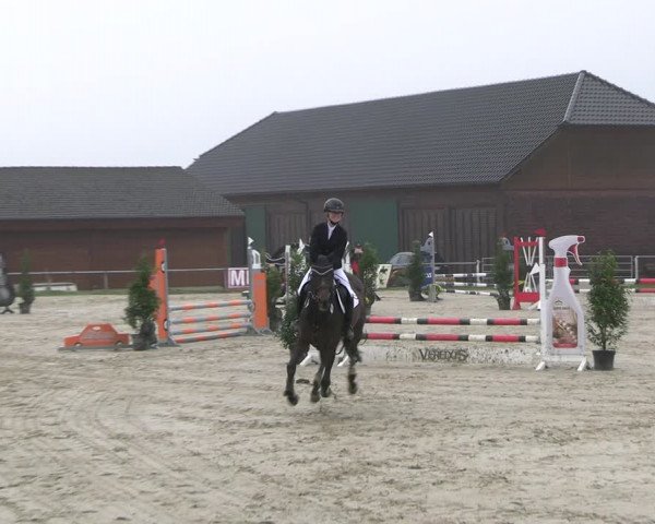 Reitturnier Dortmund-Barop 2022