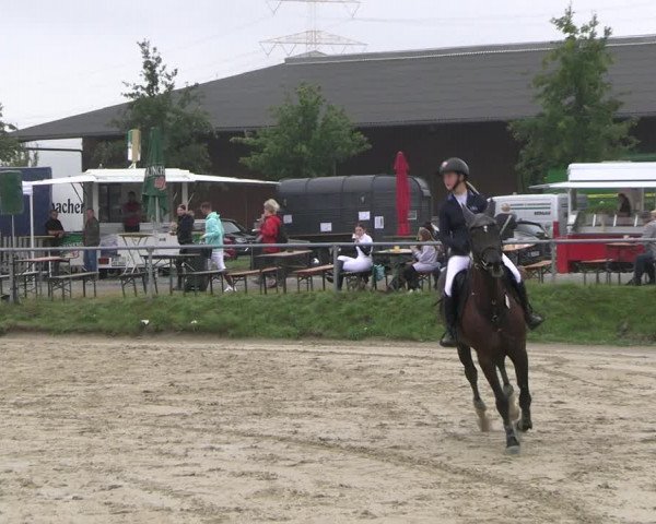 Reitturnier Dortmund-Barop 2022