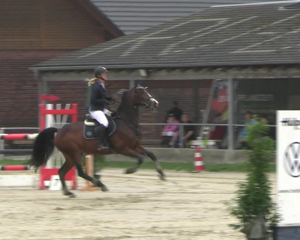 Reitturnier Dortmund-Barop 2022