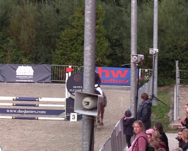 Reitturnier Sörup 2022