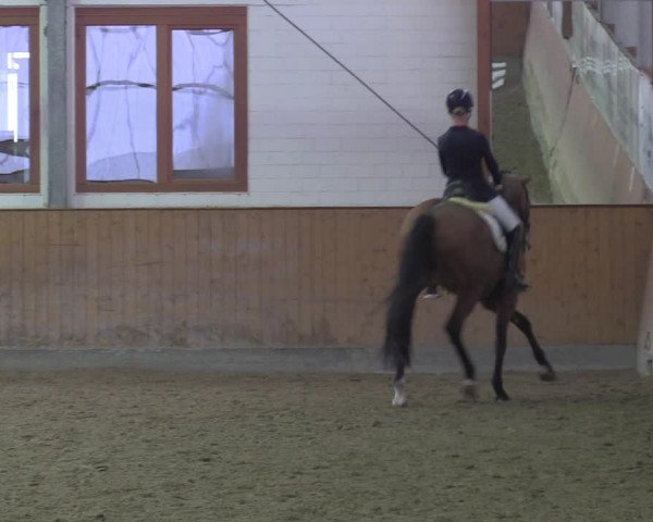 Reitturnier Appelhülsen 2022