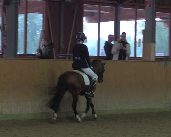 Reitturnier Appelhülsen 2022