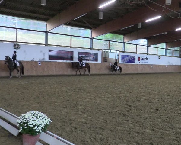 Reitturnier Meinerzhagen 2022