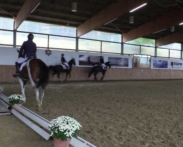 Reitturnier Meinerzhagen 2022
