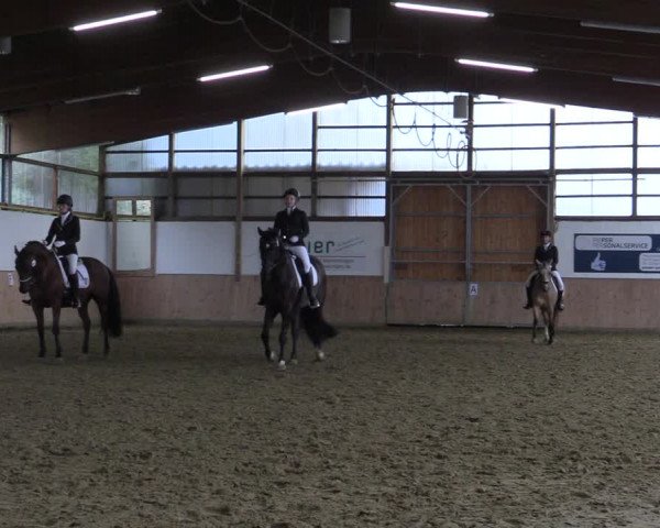 Reitturnier Meinerzhagen 2022