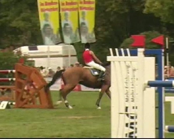 jumper Atkins (Oldenburg, 2000, from Araconit)