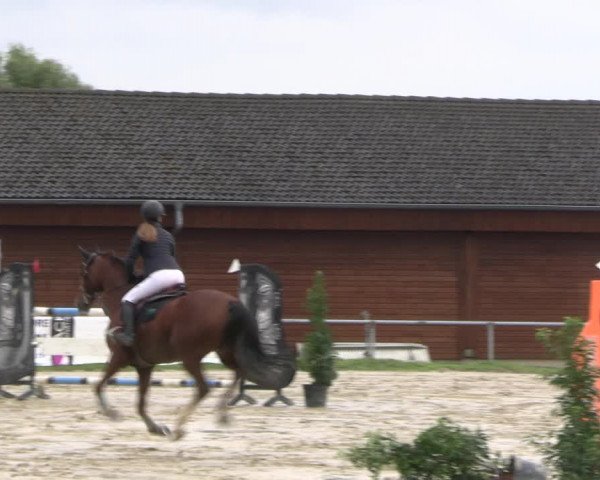 Reitturnier Dortmund-Barop 2022