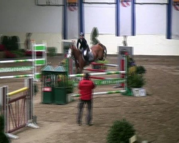 jumper Martin my love Mo (German Riding Pony, 2005, from Mentos Charmeur)